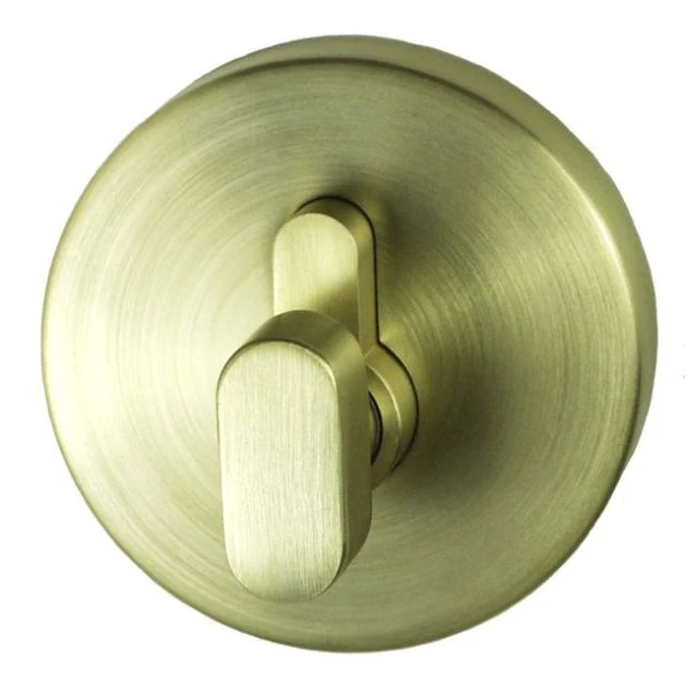 Nidus Spring Eurobolt Single Cylinder Satin Brass - Image 3